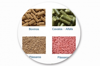 Types of Animal Feed