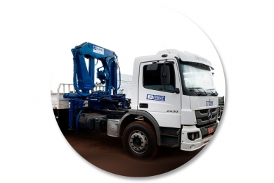 Crane and truck rental Munck