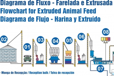 Flowchart for Extruded Animal Feed