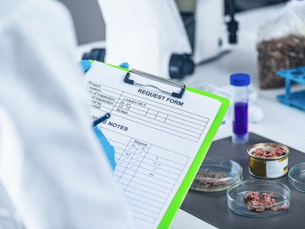 Imagem: microgen, de envatoelements