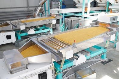 Costos de la Fabricación de Alimentos Extruídos