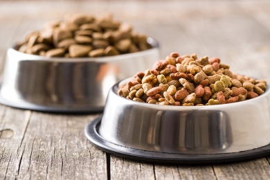 El exponencial crecimiento de las ventas online en alimentos para perros