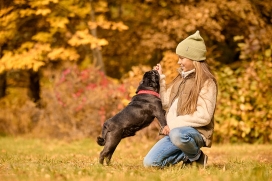 Salmonella en pet (& human) food