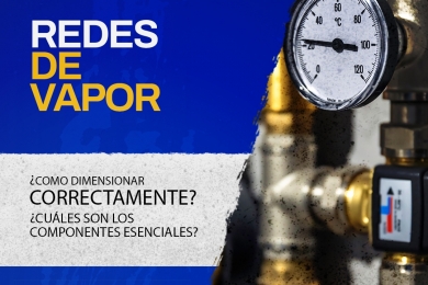 ¿Cómo dimensionar correctamente las redes de vapor? Conozca los componentes esenciales para la eficiencia y la seguridad.